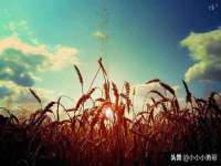 温州市捷拱商贸有限公司
