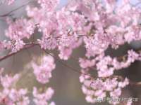 温州市捷拱商贸有限公司