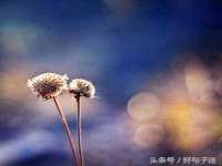 温州市捷拱商贸有限公司