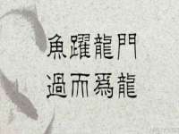温州市捷拱商贸有限公司