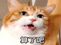 温州市捷拱商贸有限公司