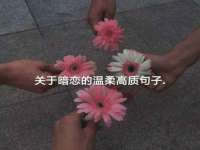 温州市捷拱商贸有限公司