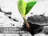 温州市捷拱商贸有限公司