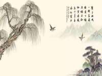 温州市捷拱商贸有限公司