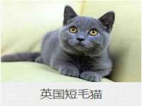 温州市捷拱商贸有限公司
