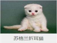温州市捷拱商贸有限公司