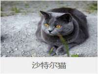 温州市捷拱商贸有限公司