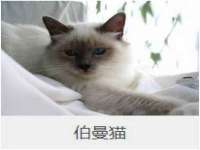 温州市捷拱商贸有限公司