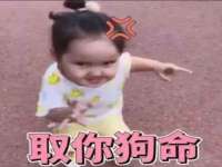 温州市捷拱商贸有限公司