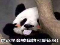 温州市捷拱商贸有限公司