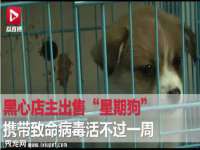 温州市捷拱商贸有限公司