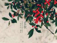 温州市捷拱商贸有限公司
