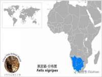 温州市捷拱商贸有限公司
