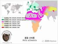 温州市捷拱商贸有限公司