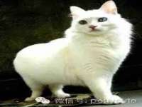 温州市捷拱商贸有限公司