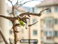 温州市捷拱商贸有限公司
