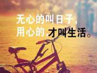 温州市捷拱商贸有限公司