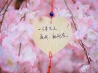 温州市捷拱商贸有限公司