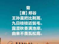 温州市捷拱商贸有限公司