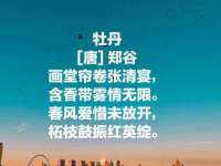 温州市捷拱商贸有限公司
