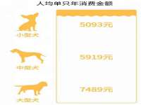 温州市捷拱商贸有限公司