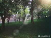 温州市捷拱商贸有限公司