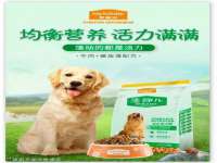 温州市捷拱商贸有限公司