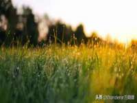 温州市捷拱商贸有限公司