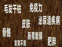 温州市捷拱商贸有限公司