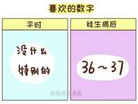 温州市捷拱商贸有限公司
