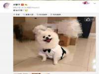温州市捷拱商贸有限公司