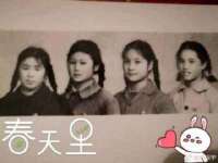 温州市捷拱商贸有限公司