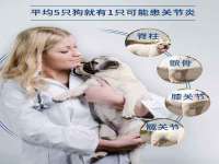 温州市捷拱商贸有限公司