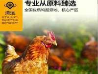 温州市捷拱商贸有限公司