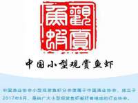 温州市捷拱商贸有限公司