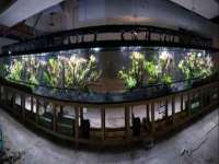 温州市捷拱商贸有限公司