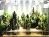 温州市捷拱商贸有限公司