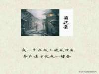 温州市捷拱商贸有限公司