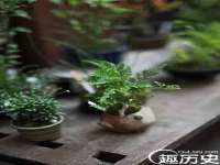 温州市捷拱商贸有限公司
