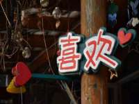 温州市捷拱商贸有限公司