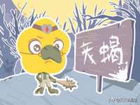 温州市捷拱商贸有限公司