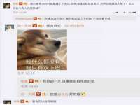 温州市捷拱商贸有限公司