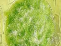 温州市捷拱商贸有限公司