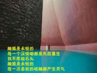 温州市捷拱商贸有限公司