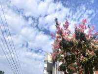 温州市捷拱商贸有限公司