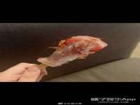 温州市捷拱商贸有限公司
